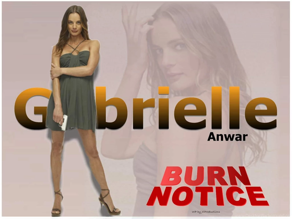 Burn Notice Burn Notice Wallpapers (19852975) Fanpop