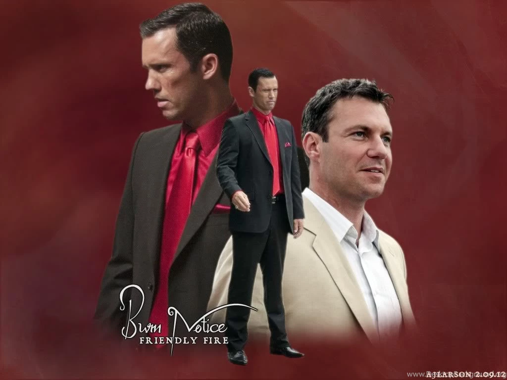 Burn Notice   Angie's Walls