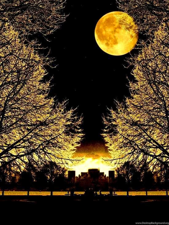Moonlight Wallpapers Beautiful Pictures Photo (34660537) Fanpop