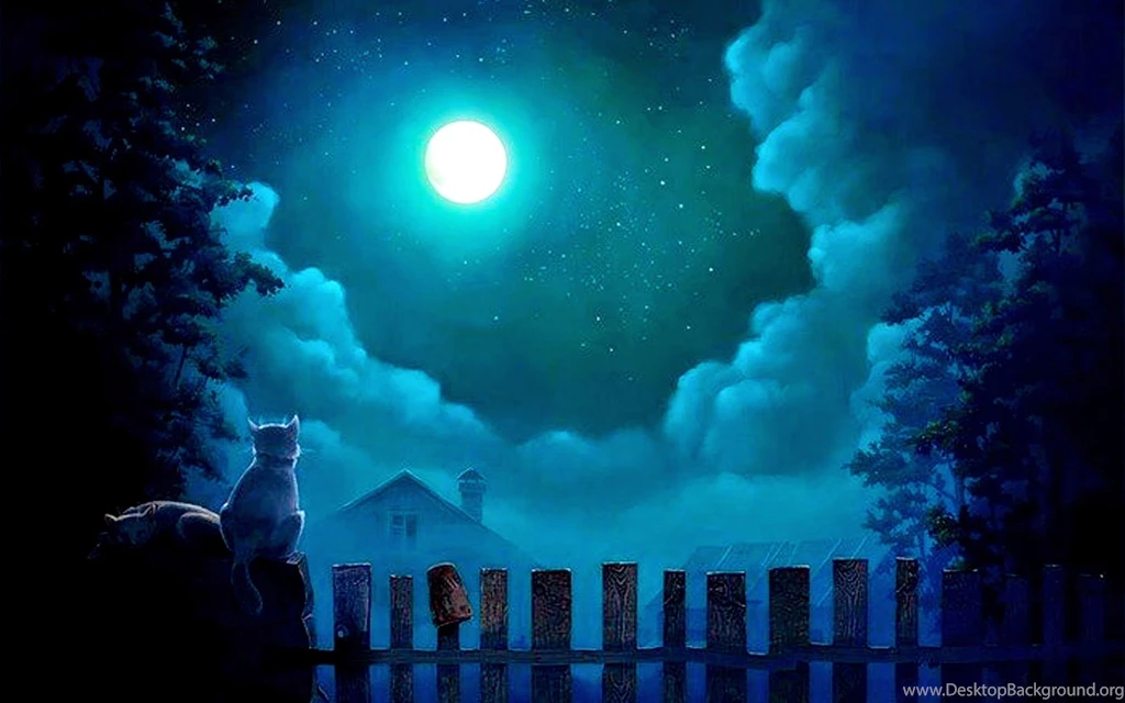 Beauty Of Moonlight At Night Sky Near Sea Poetic Nature Images ...