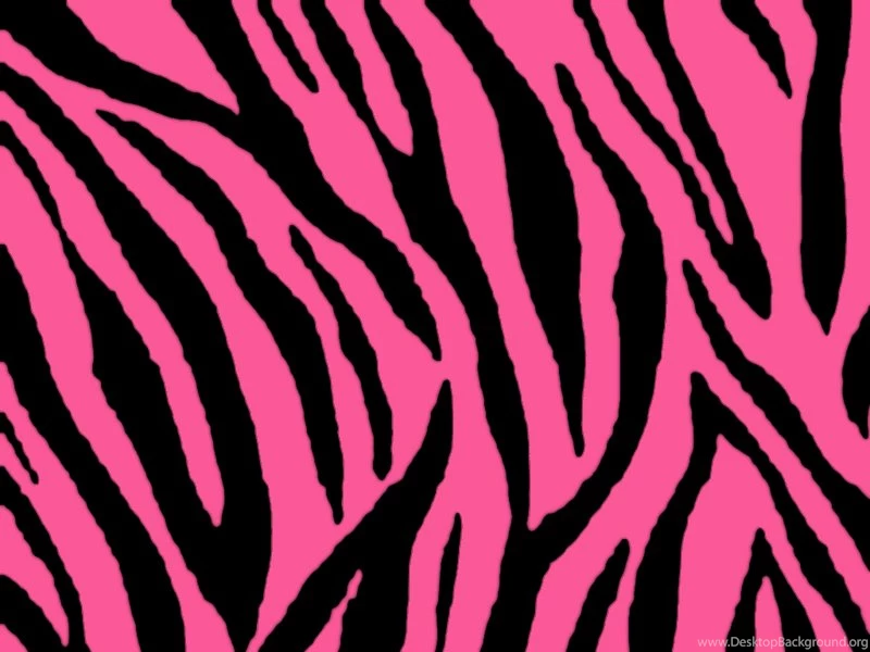 Zebra Print Wallpapers