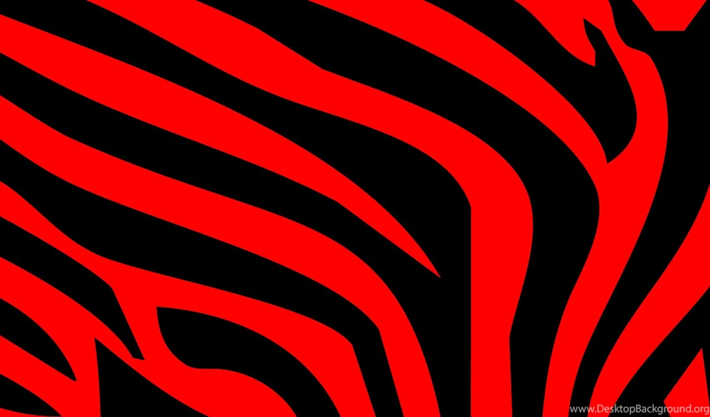 Zebra Wallpapers