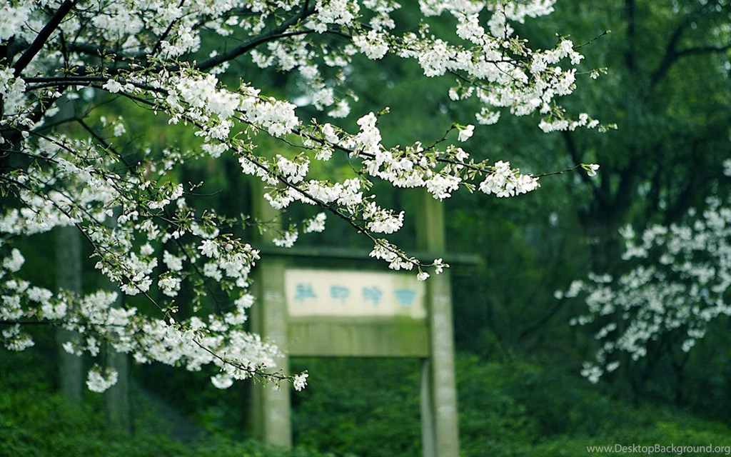 Suzhou, Jiangsu Famous Attractions Photography Wallpapers 9 ...