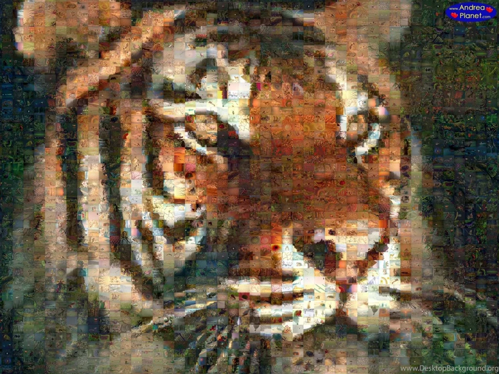 Tiger Collage. Free Animal And Wildlife Computer Desktop Wallpapers