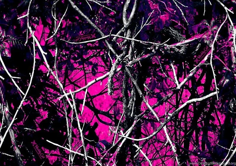 Free User Img2887 Cell Phone Wallpapers