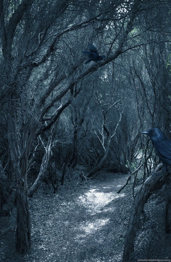 Free Backgrounds Eerie 2 By H stock On DeviantArt