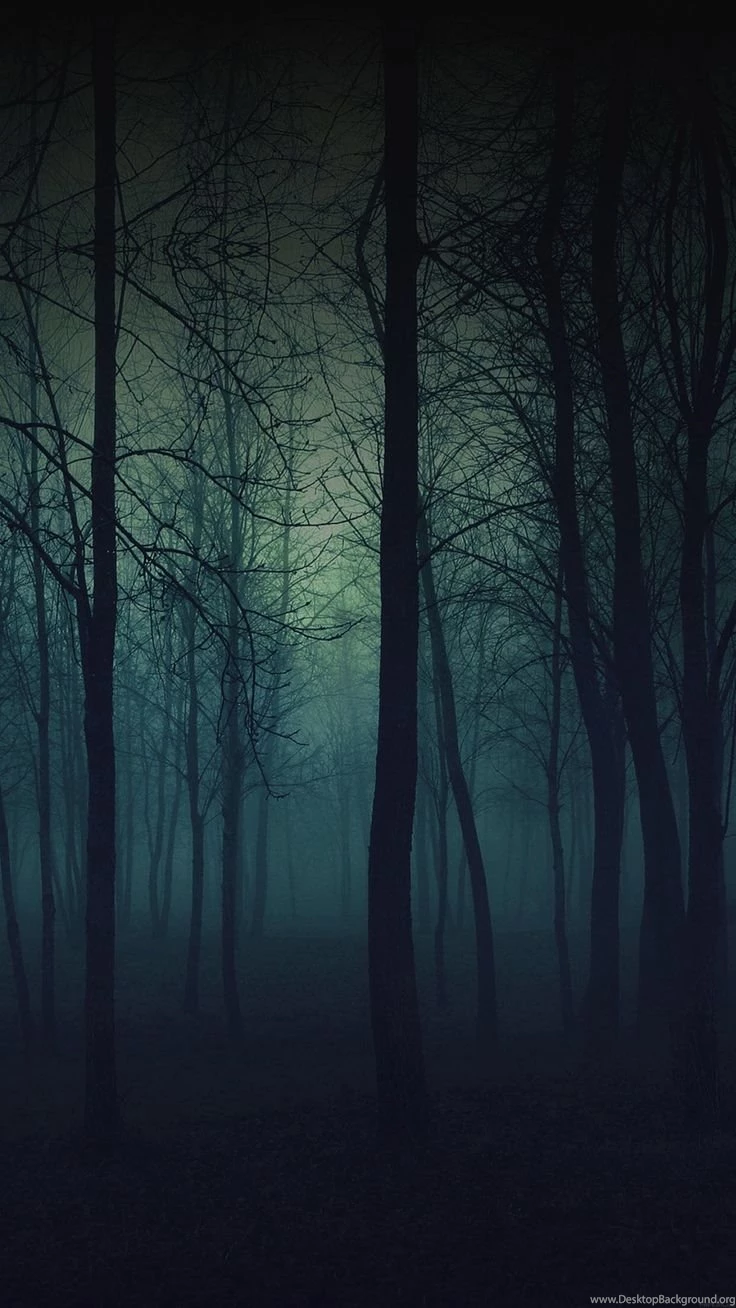 Download Eerie Forest Night iPhone 6 Plus HD Wallpapers