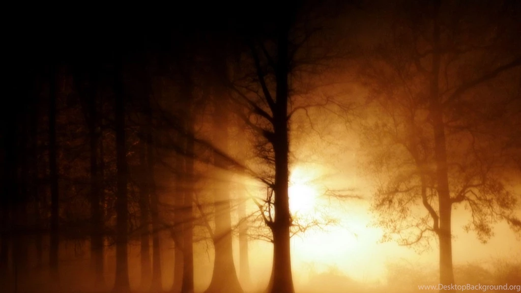 Ghost Fog Wallpapers