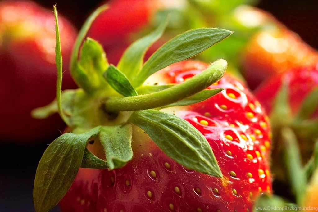 Desktop HD Wallpapers: Top 44 Food Wallpapers In HD For More ...