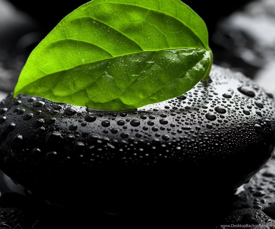 Sonakshi Sinha Hot, Smile, Sneakers, Sneha, Soft On Hard