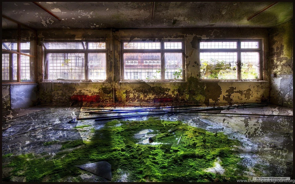 Free Wallpapers Free Photography Wallpapers Gray Photographic 8 ...