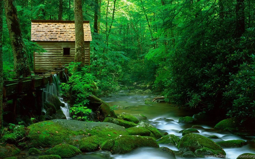 Wallpapers Beautiful Scene Nature Wallpapers Reptiles 1920x1080 ...