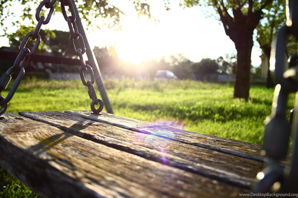 Wooden Swing In Garden In Morning Scene Wallpapers