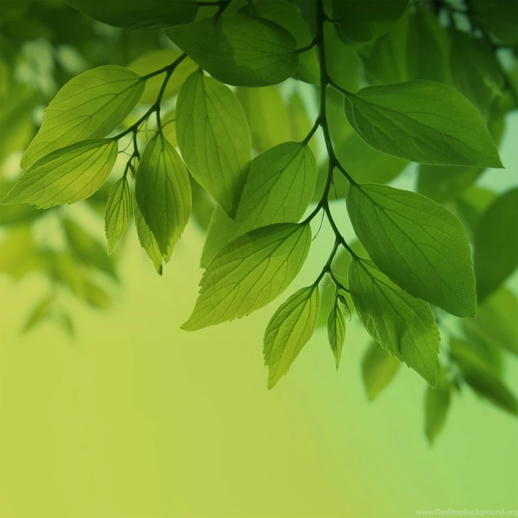 Samsung Galaxy S4 Wide Wallpapers
