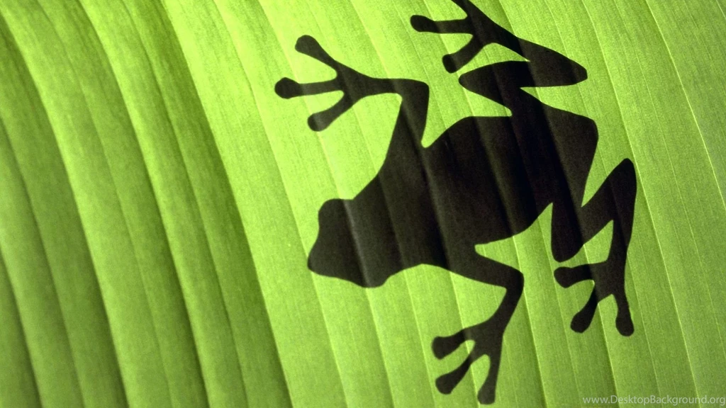 Frog Wallpapers Wallpapers Cave