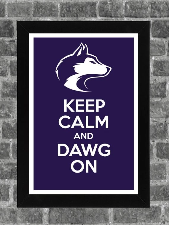 Washington Huskies On Pinterest