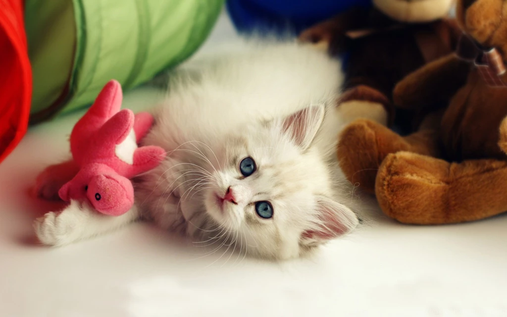 Cute Wallpaper Backgrounds