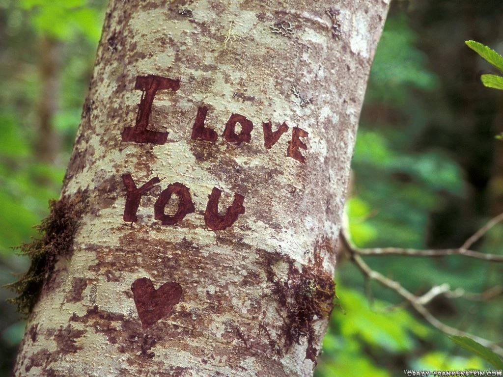 I Love You Heart Images And Desktop Wallpapers Love Pictures ...