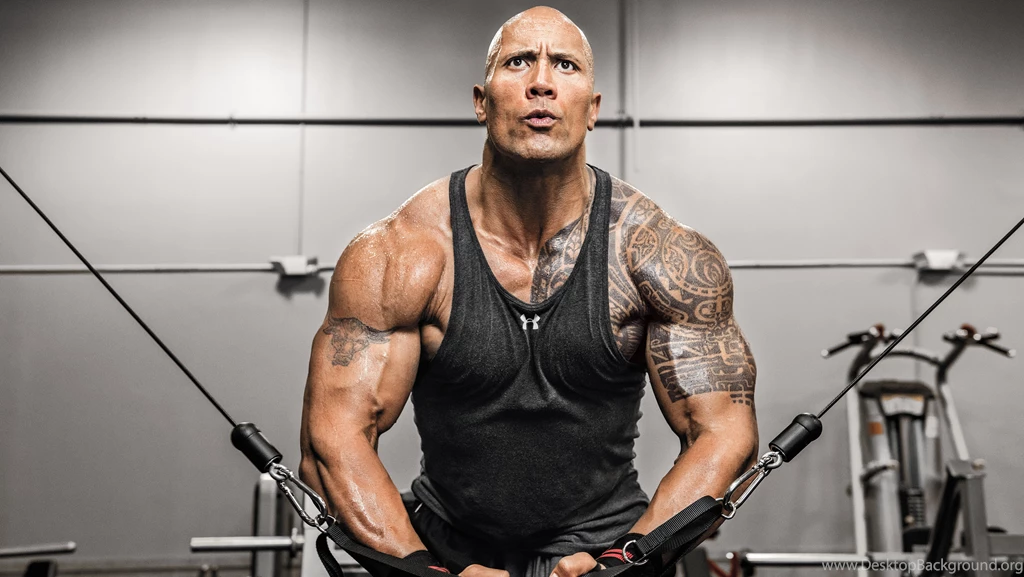 16 Quality The Rock Wallpapers, Celebrity