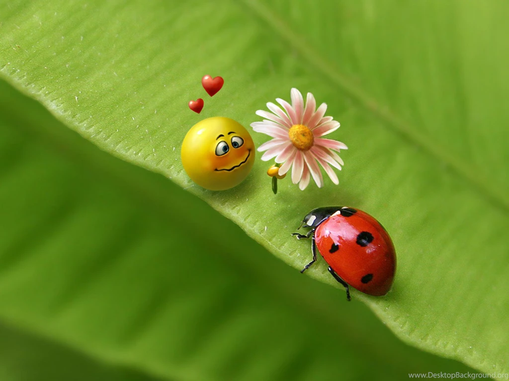 Www.thewallpapers.org