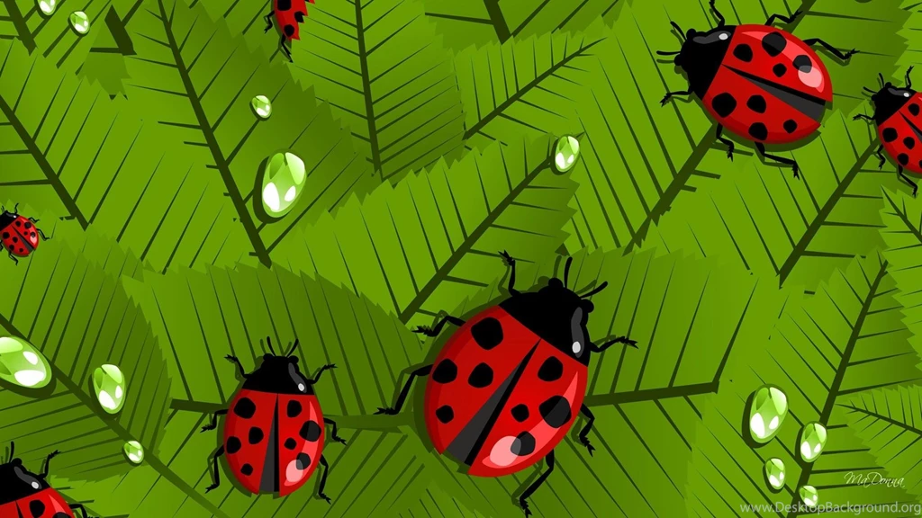 Happy Spring Ladybugs >> HD Wallpaper, Get It Now!