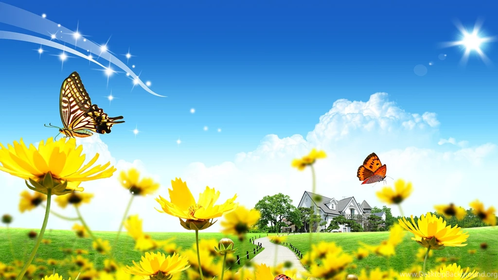 Download Wallpapers 1920x1080 House, Flowers, Lawn, Ladybugs Full ...