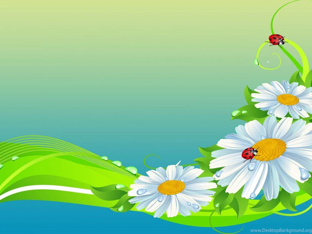 DAISIES AND LADYBUGS WALLPAPER (