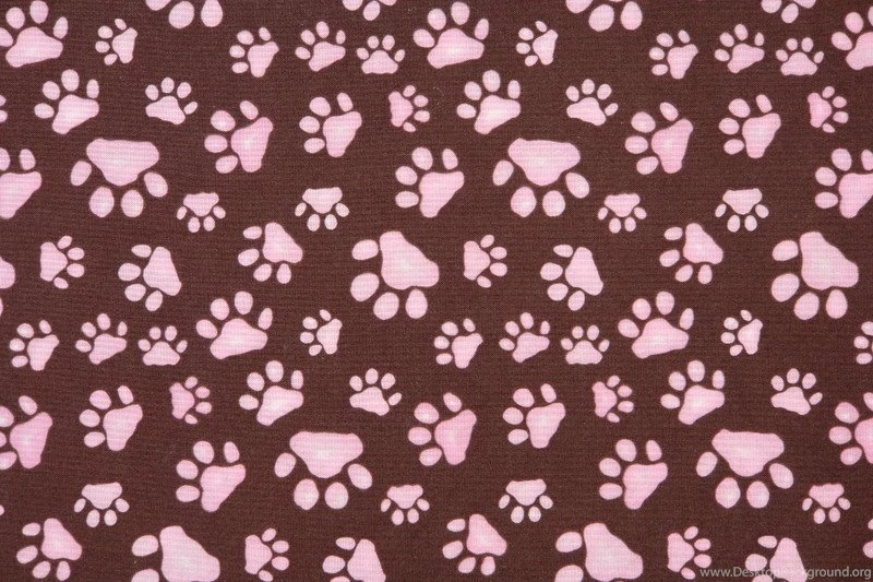 Dog Paw Wallpapers Wallpapers Zone