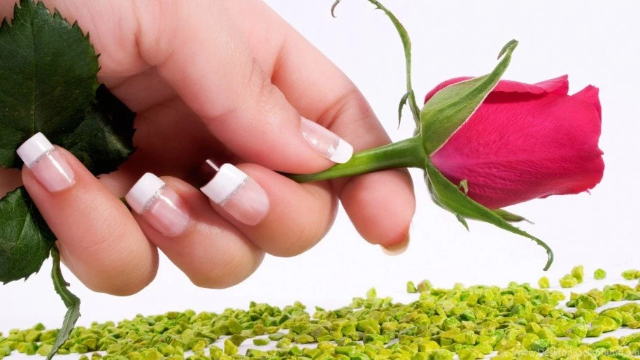 Valentine Flower Wallpapers : Wallpapers13.com