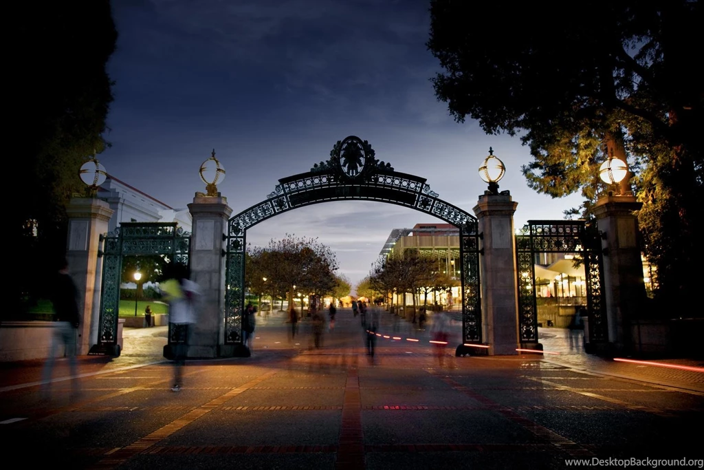 Berkeley College Project Presentation Made With Bunkr