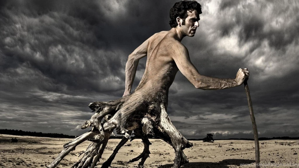 Fantastic Wallpapers HD