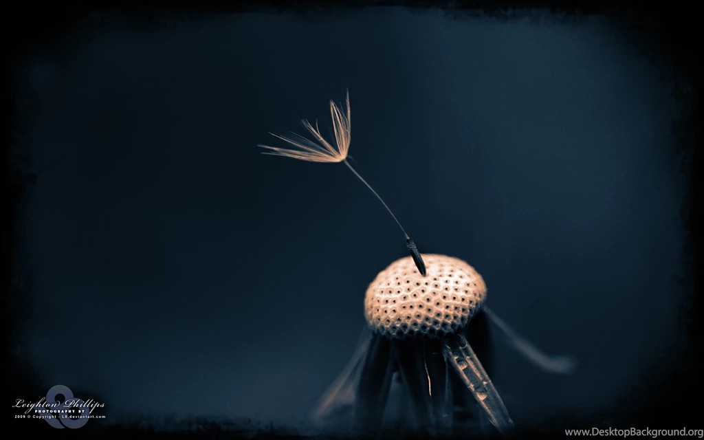 35 NEW HD Wallpapers Wide Pack Up To 2560x1600 Photo 7 Of 34 ...