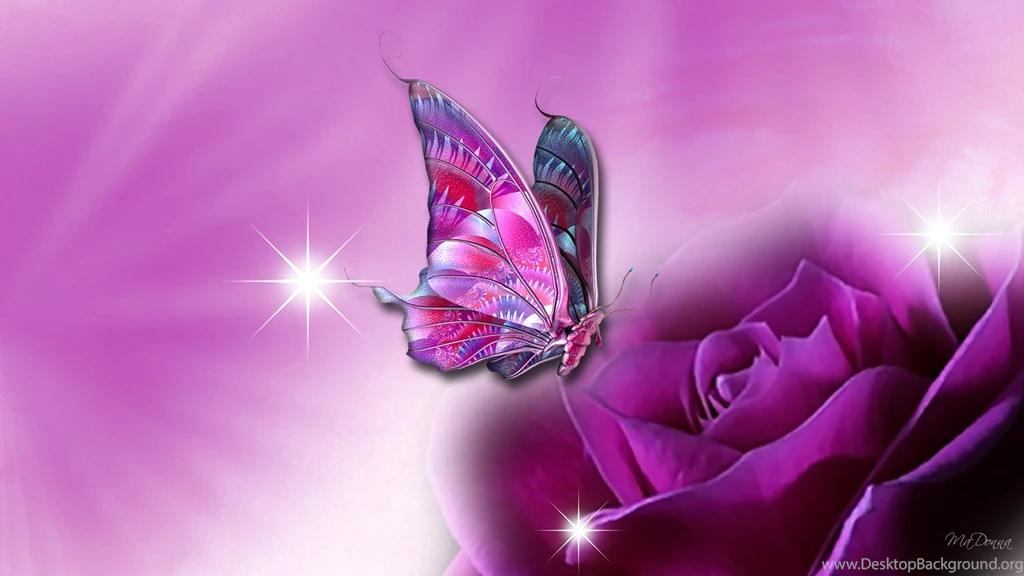 Top Big Screensaver: Butterfly Screensaver Wallpapers