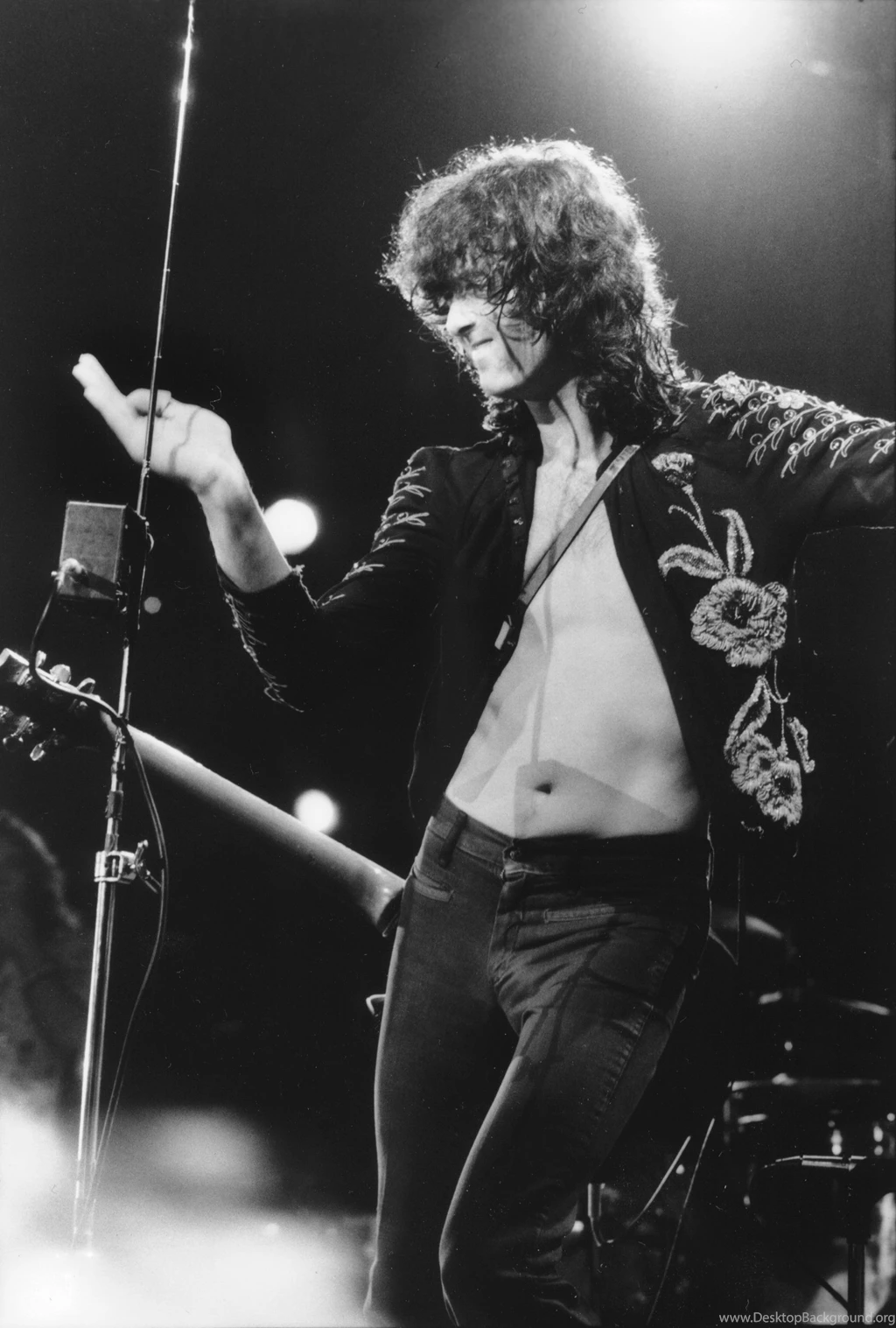 Download Led Zeppelin Wallpapers 1753x2597