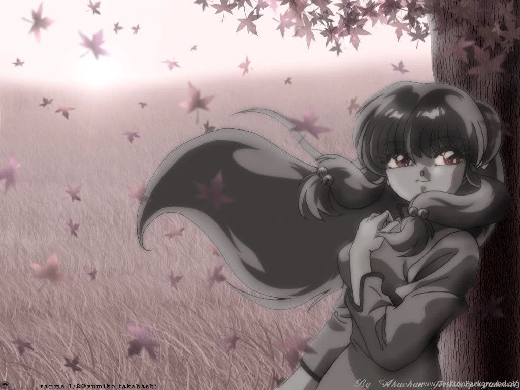 Shampoo By Tree Shampoo (Ranma) Wallpapers (24176400) Fanpop