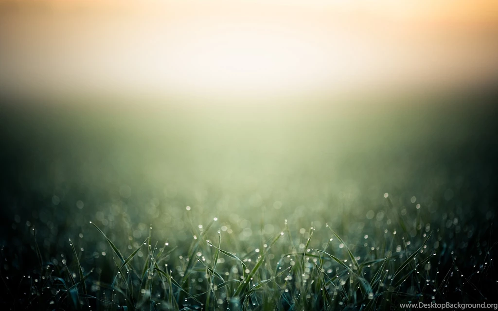 Pretty Nature Backgrounds HD Wallpapers