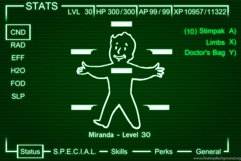 RePin Image: Pip Boy Ipad Wallpapers On Pinterest