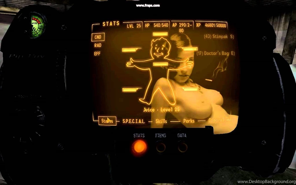 Fallout New Vegas Pipboy Screen Changer   YouTube