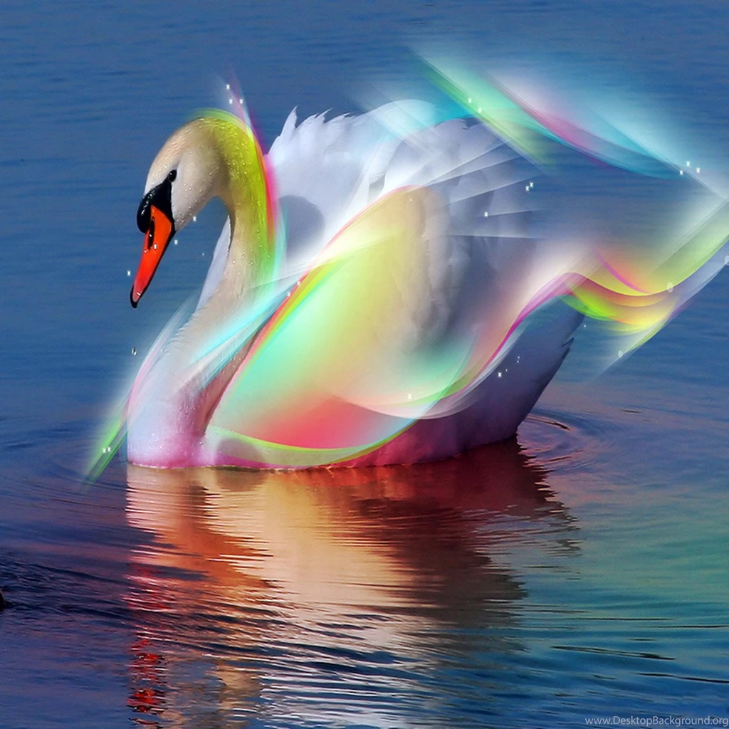 New iPad Wallpapers HD 2048x2048 Best Wallpapers