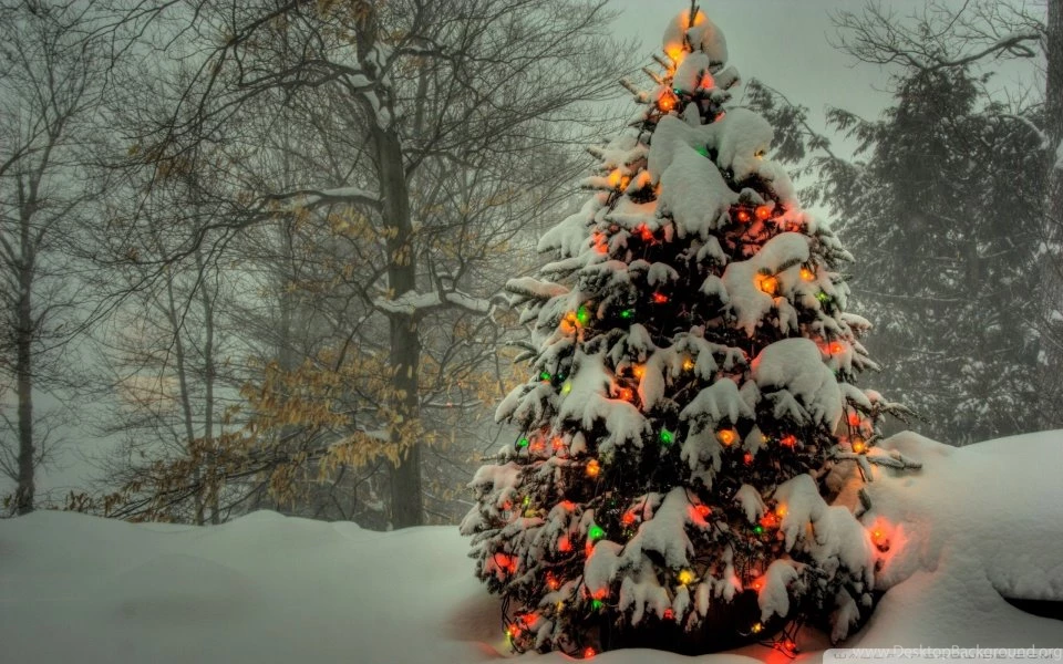 The War On Christmas Is Over! UK To Return To “Pagan Roots” Says ...