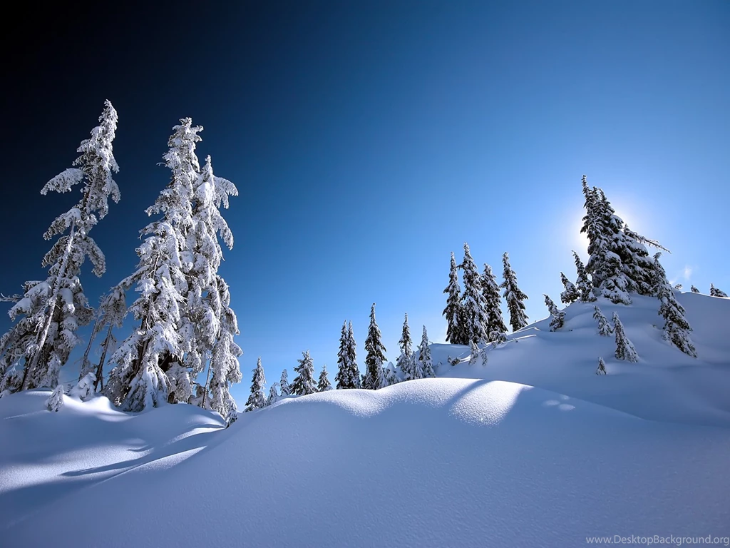 Yule Trees And Snow Wallpaper, Odd Bacteria May Be Link Between ...