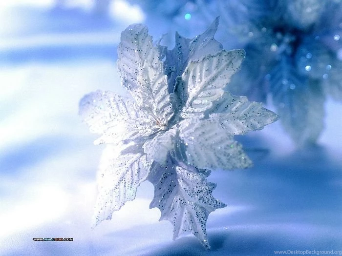 Christmas Holiday Decoration Wallpapers 19 Wallcoo.net