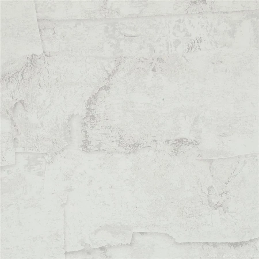 White Birch Bark Wallpapers