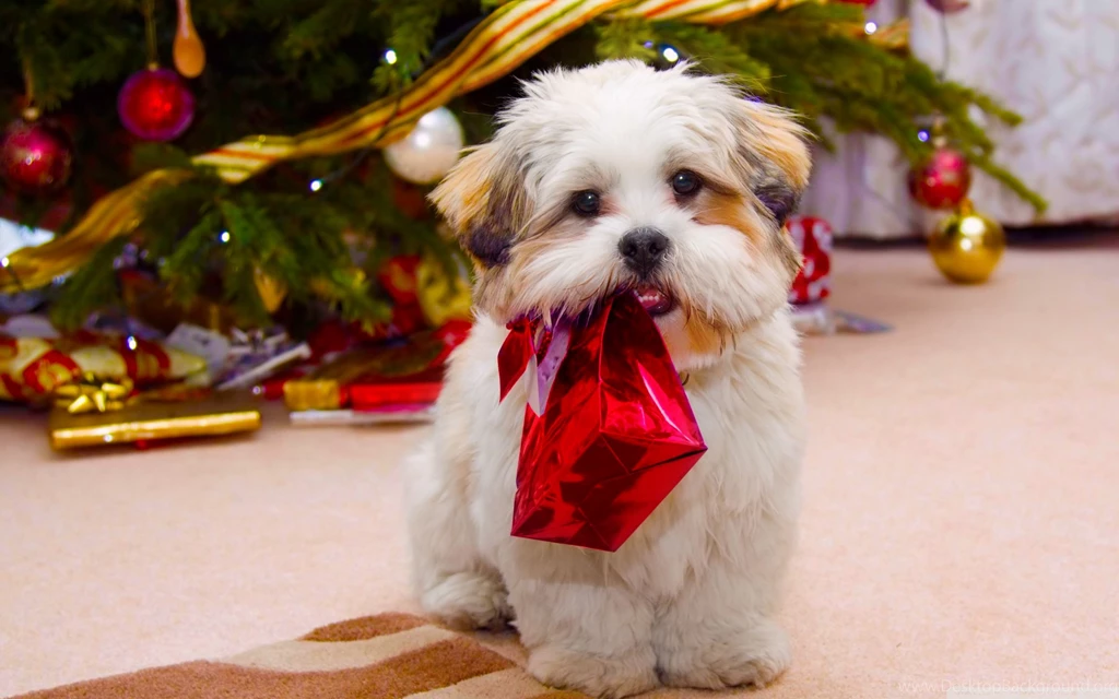 Hd Christmas Puppy Wallpapers. Christmas Dog Wallpapers Free ...