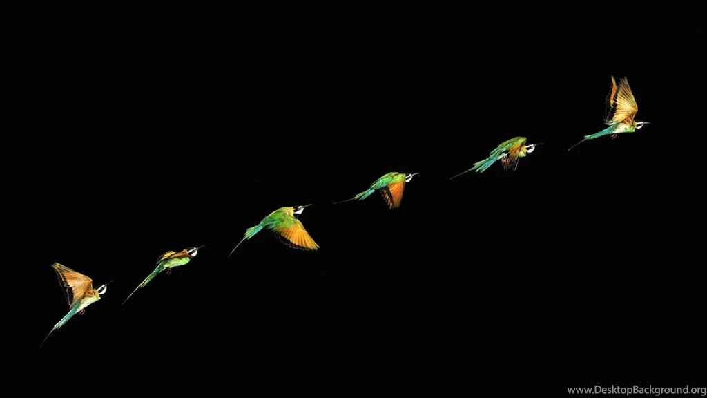 Wallpapers Success Quotes Football Datadiary Gud Mrng 1920x1080 ...