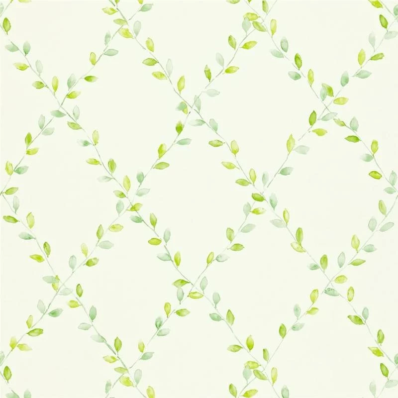 Decor Supplies