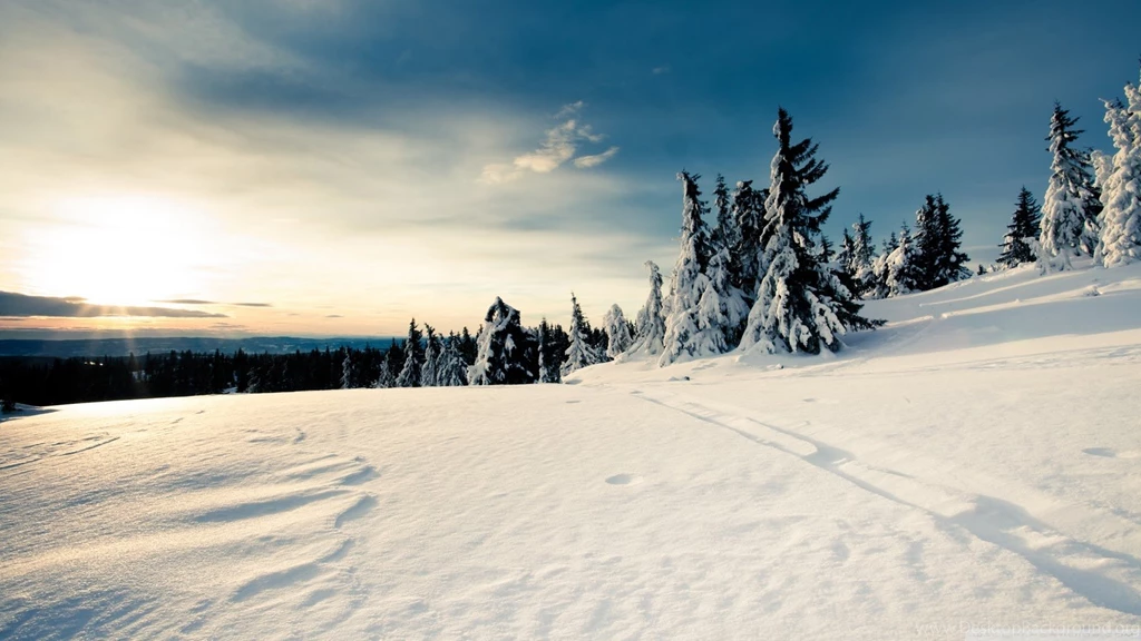 LollerCoasterLab: Wallpapers : Games, Hardware, Software And Other ...