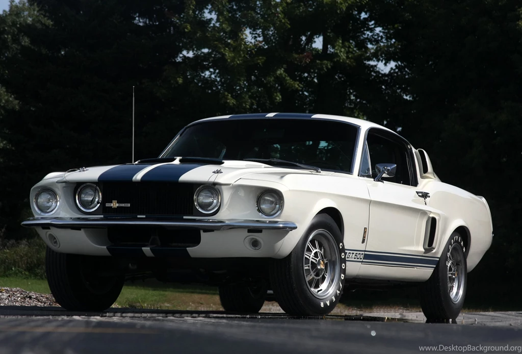 1967 SHELBY GT500 & 2010 SHELBY GT500 PATRIOT EDITION Computer ...