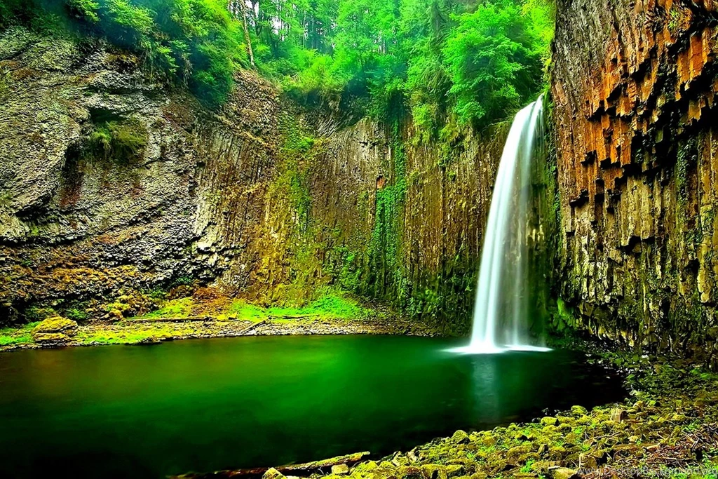 Resolution 1200x800 Wallpapers: Jungle Paradise Android Wallpapers ...