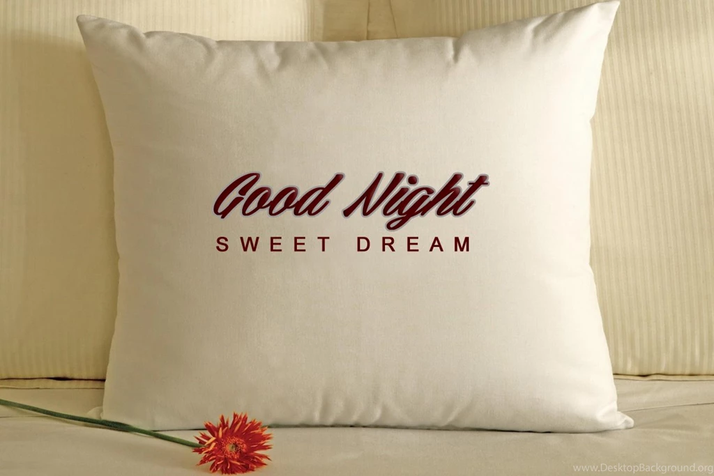 Sweet Dream For Good Night
